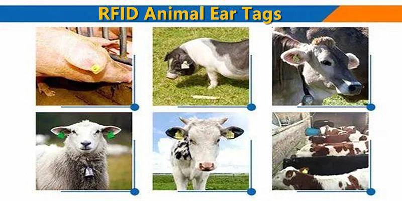 RFID技术对畜牧业和农业的影响：从牲畜标识到作物管理缩略图